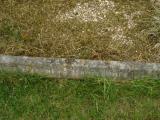 image of grave number 312699